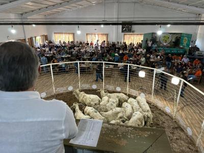 Feira de Bezerros e Bezerras da SRCO mostra a força da pecuária regional